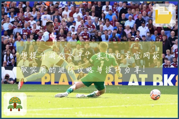 想提升游戏水平？来im电竞官网获取实用的进阶攻略与技巧分享！