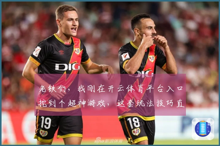 老铁们，我刚在开云体育平台入口挖到个超神游戏，这套玩法技巧直接起飞！