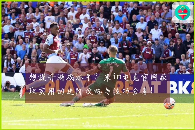 想提升游戏水平？来im电竞官网获取实用的进阶攻略与技巧分享！