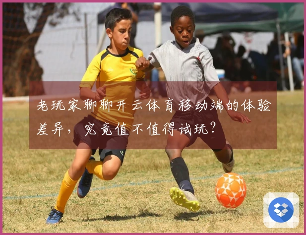 老玩家聊聊开云体育移动端的体验差异，究竟值不值得试玩？